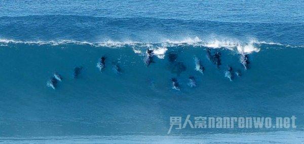 全民烧脑3去广告版
